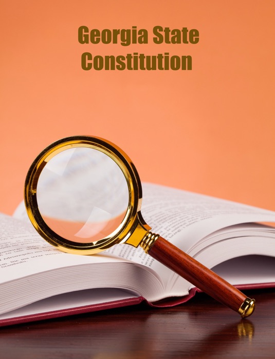 Georgia Constitution