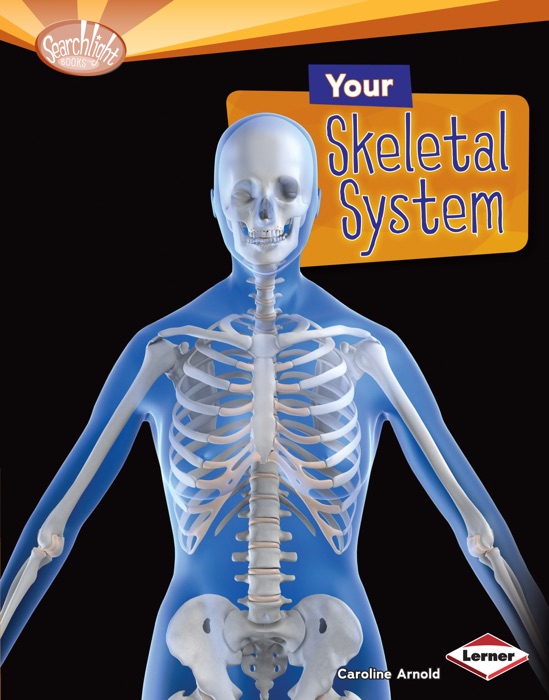 Your Skeletal System