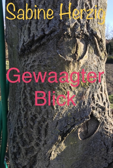 Gewaagter Blick