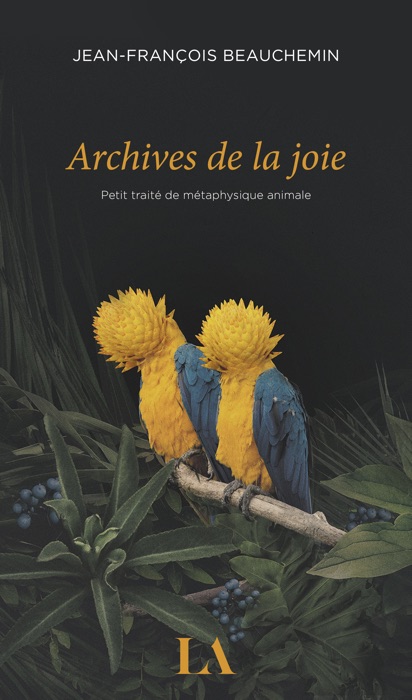 Archives de la joie