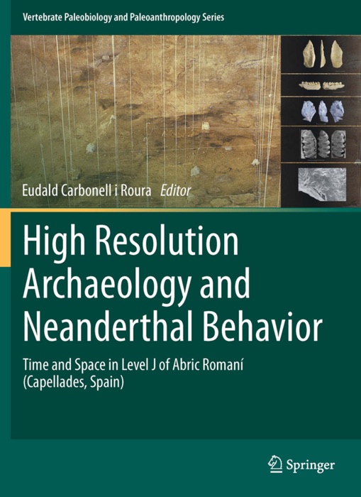 High Resolution Archaeology and Neanderthal Behavior