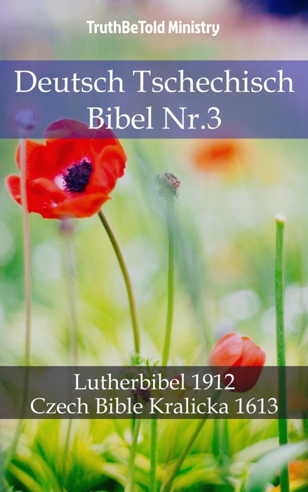 Deutsch Tschechisch Bibel Nr.3