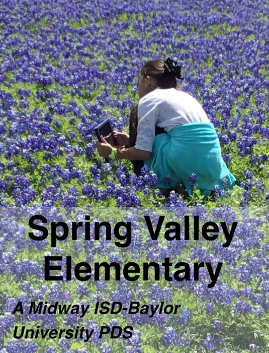 Spring Valley Elementary