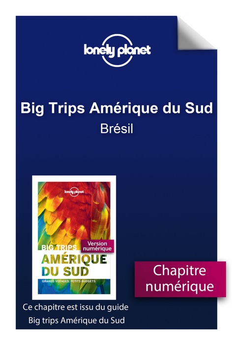 Big trips Amérique du sud - Brésil