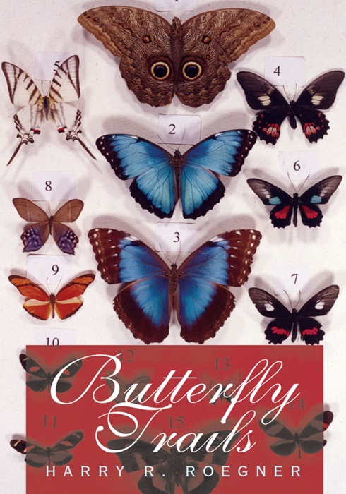 Butterfly Trails