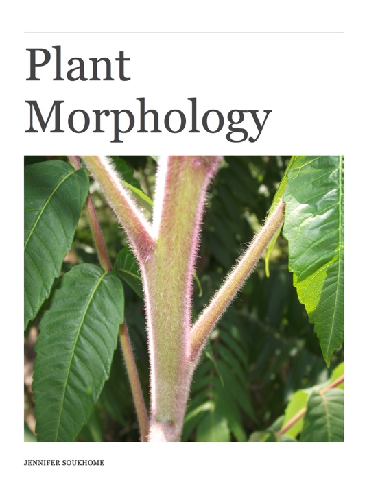 Plant Morphology Title