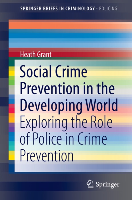 Social Crime Prevention in the Developing World