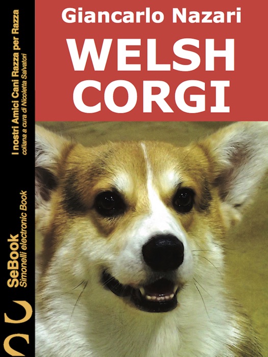 Welsh Corgi