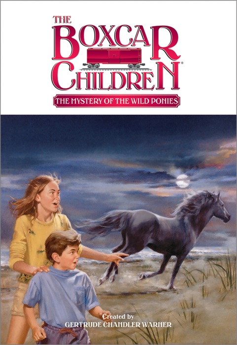 Mystery of the Wild Ponies