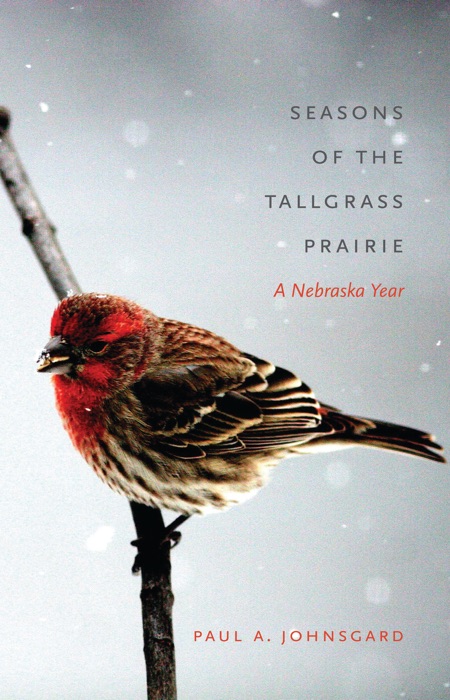 Seasons of the Tallgrass Prairie