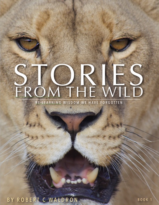 Stories From The Wild