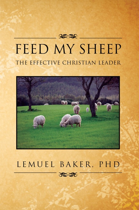 Feed My Sheep