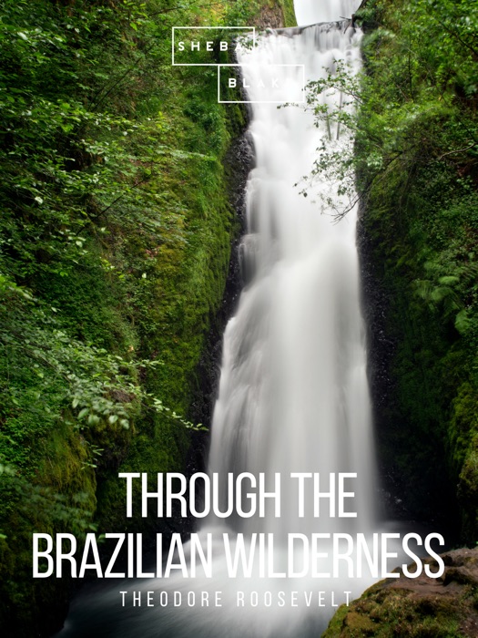 Through the Brazilian Wilderness