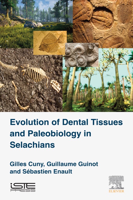 Evolution of Dental Tissues and Paleobiology in Selachians (Enhanced Edition)