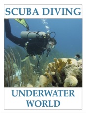 SCUBA DIVING - Underwater World
