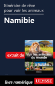 Itinéraire de rêve pour voir les animaux - Namibie - Ariane Arpin-Delorme