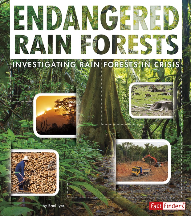 Endangered Rain Forests