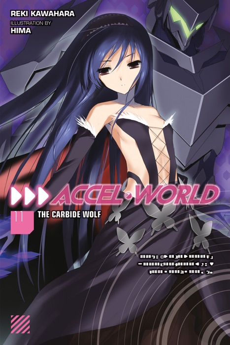 Accel World, Vol. 11 (light novel)