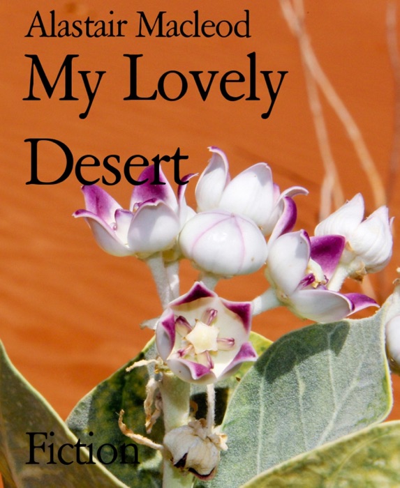 My Lovely Desert