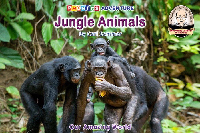 Jungle Animals