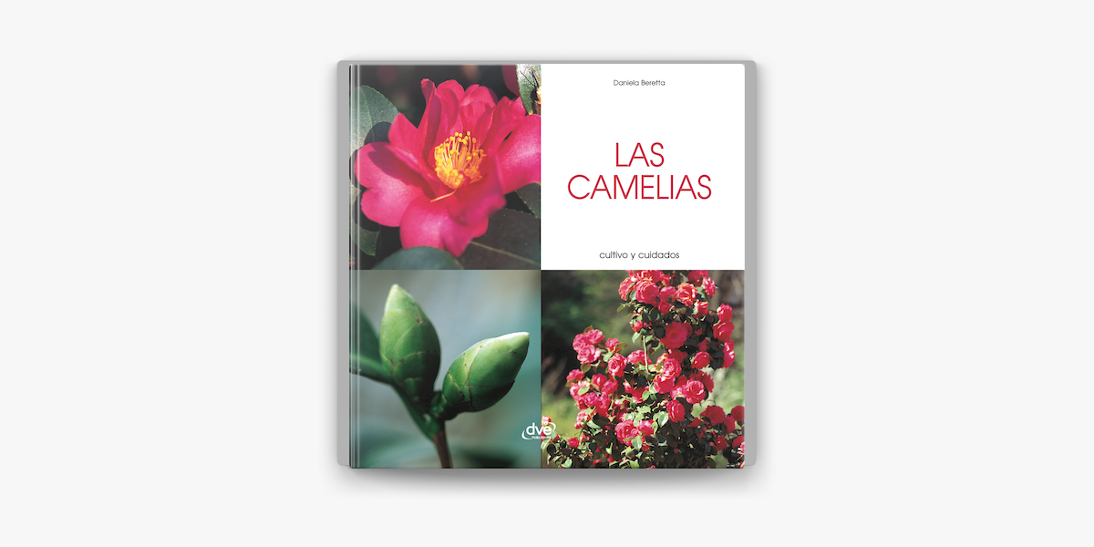 Las camelias - Cultivo y cuidados on Apple Books