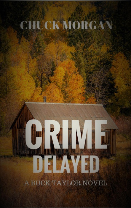 Crime Delayed