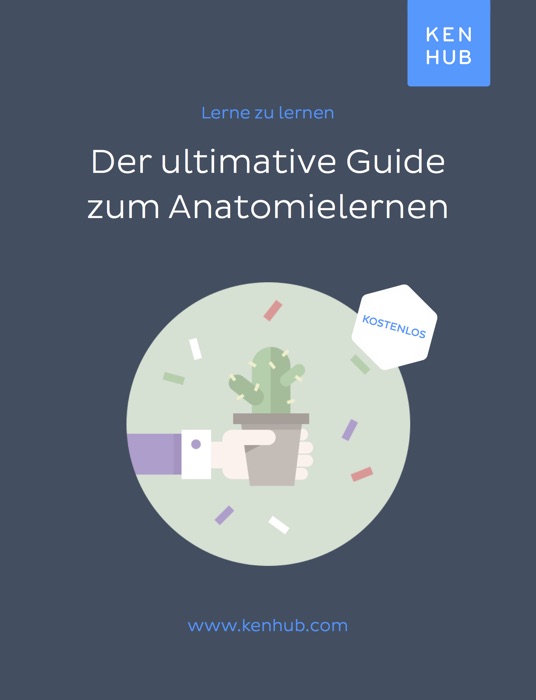 Der ultimative Guide zum Anatomie lernen