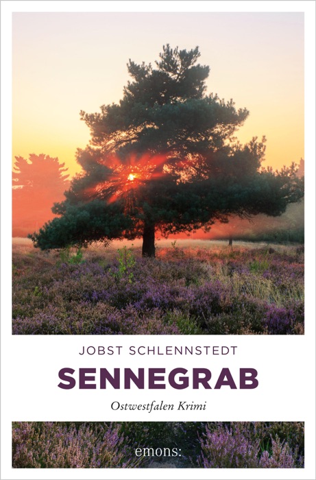 Sennegrab