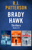 R.J. Patterson - The Brady Hawk Series artwork