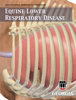 Equine Lower Respiratory Disease - Educational Resources, University of Georgia