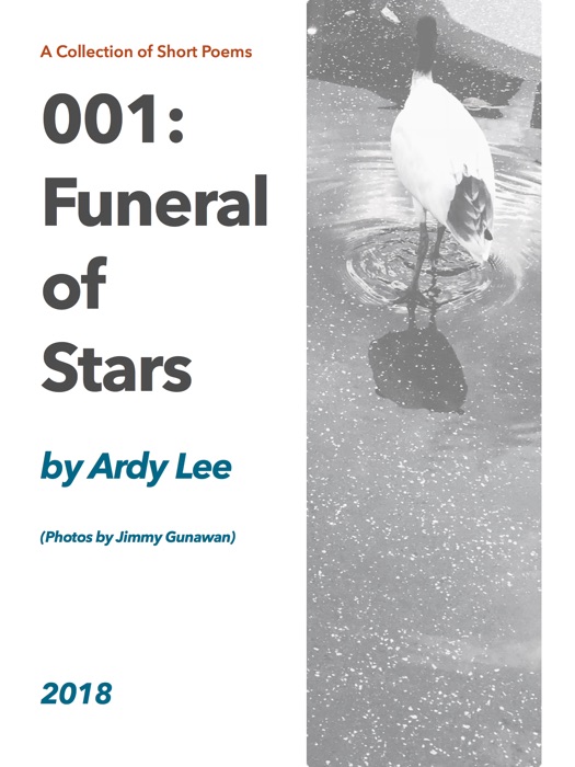 Funeral Of Stars