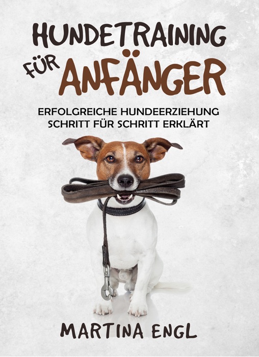 Hundetraining für Anfänger