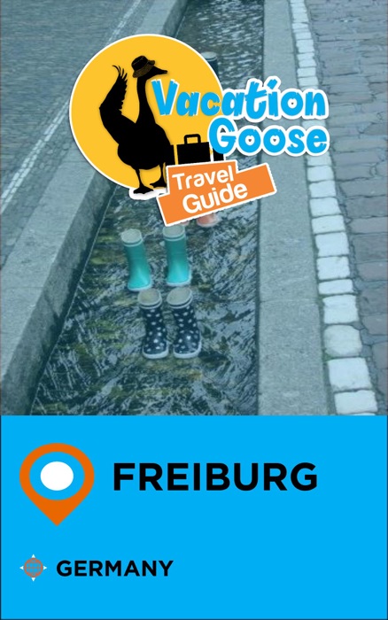 Vacation Goose Travel Guide Freiburg Germany