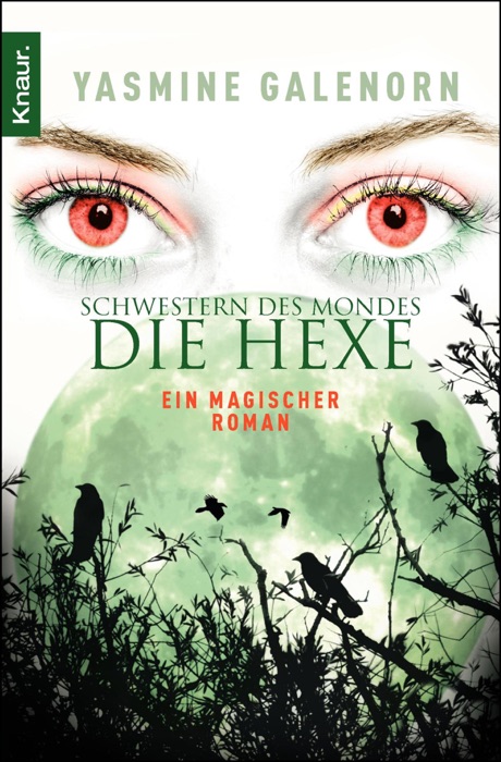 Schwestern des Mondes - Die Hexe