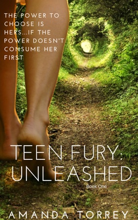 teen fury unleashed book
