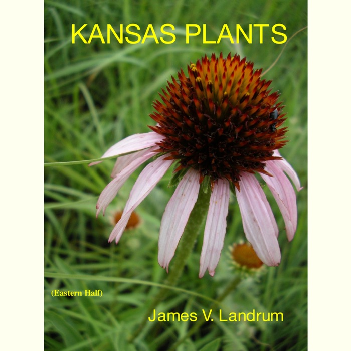 Kansas Plants