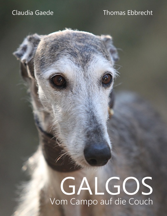 Galgos