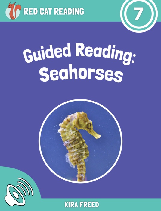 Guided Reading: Seahorses (Enhanced Version)