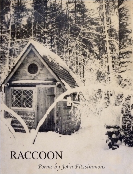 Raccoon