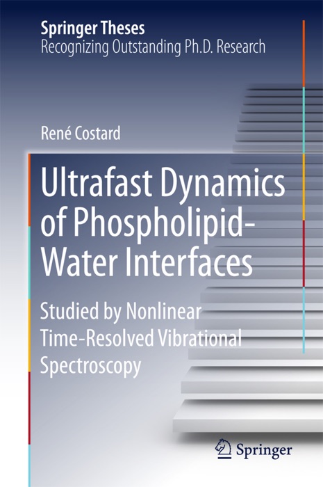 Ultrafast Dynamics of Phospholipid-Water Interfaces