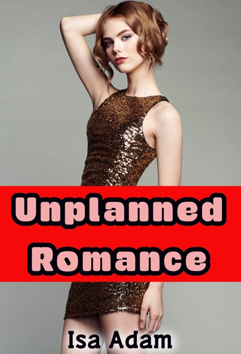 Unplanned Romance