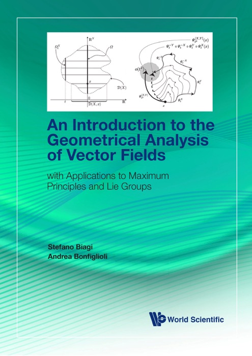 An Introduction to the Geometrical Analysis of Vector Fields