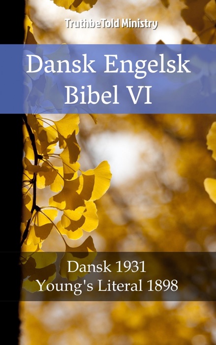 Dansk Engelsk Bibel VI