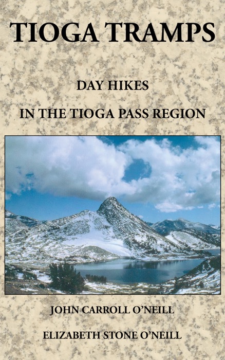 Tioga Tramps