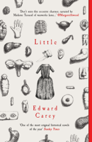 Edward Carey - Little artwork