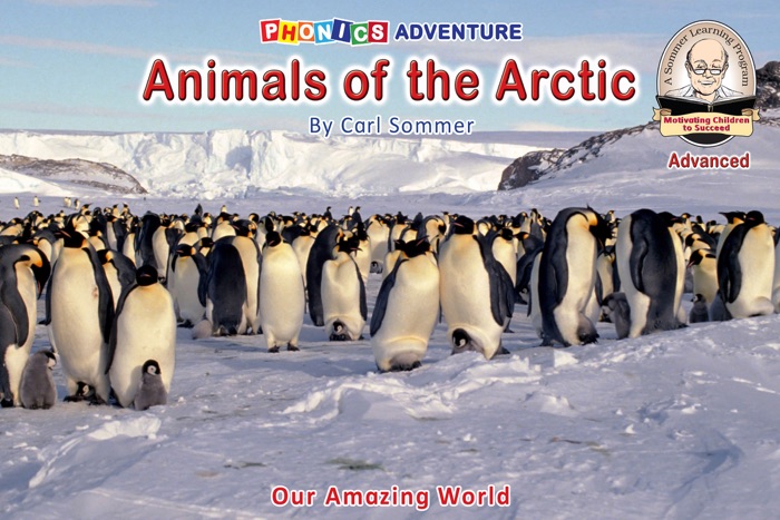 Animals of the Arctic