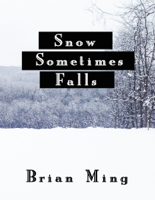Brian Ming - Snow Sometimes Falls artwork