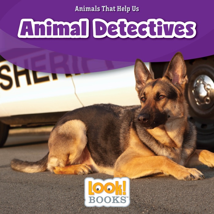 Animal Detectives