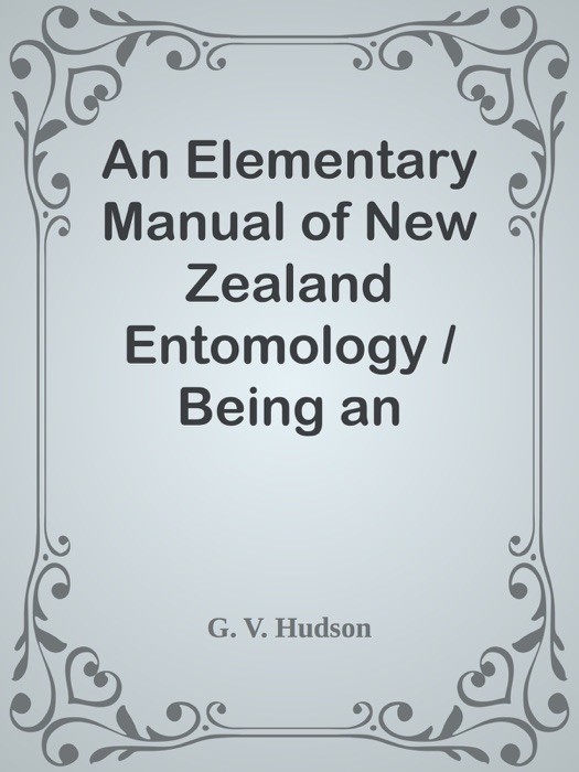 An Elementary Manual of New Zealand Entomology / Being an Introduction to the Study of Our Native Insects