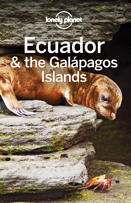 Ecuador & the Galapagos Islands Travel Guide